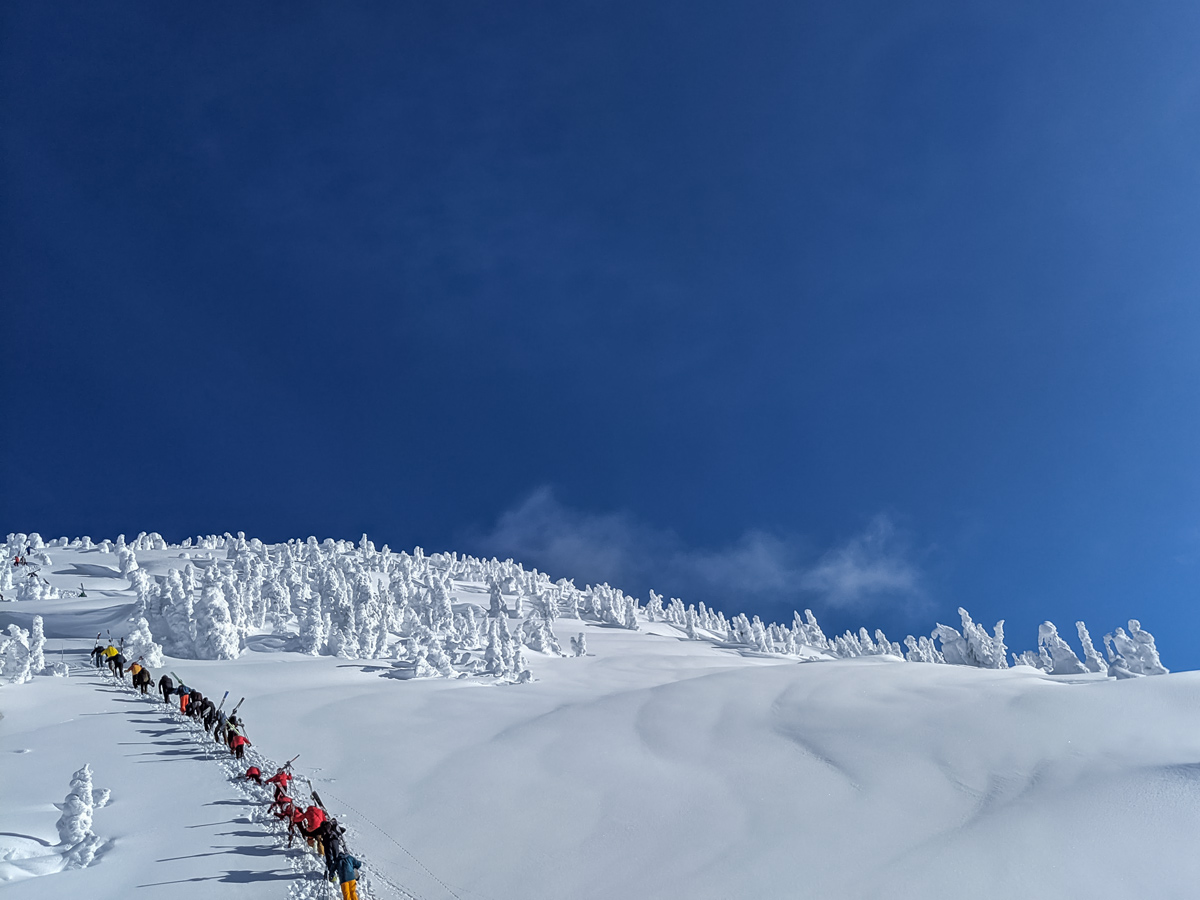 Skiiers hike uphill backcountry touring Powder highway BC Alberta Canada