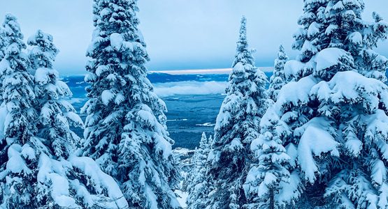 Powder Highway Campervan Ski Tour