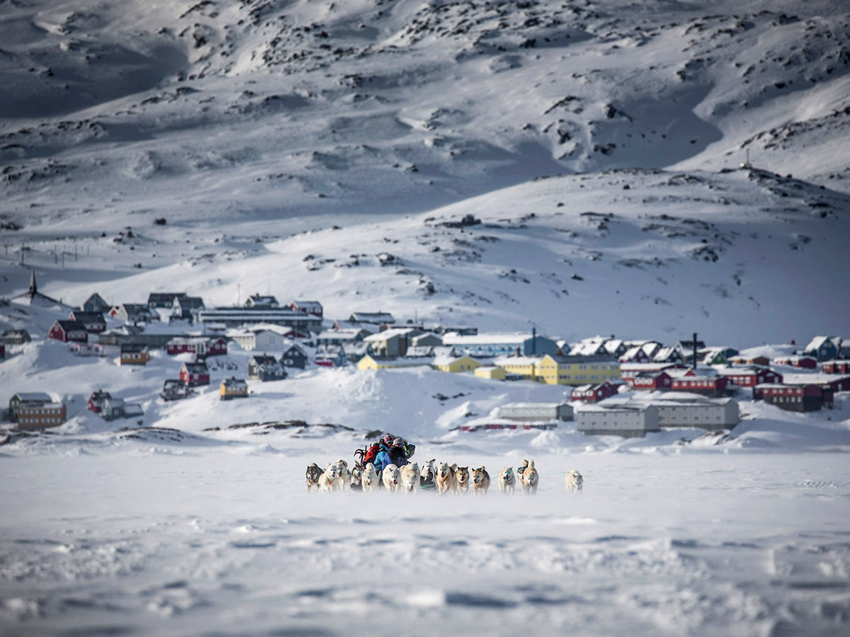 Dog Sledding tour group departing from village in Greenland