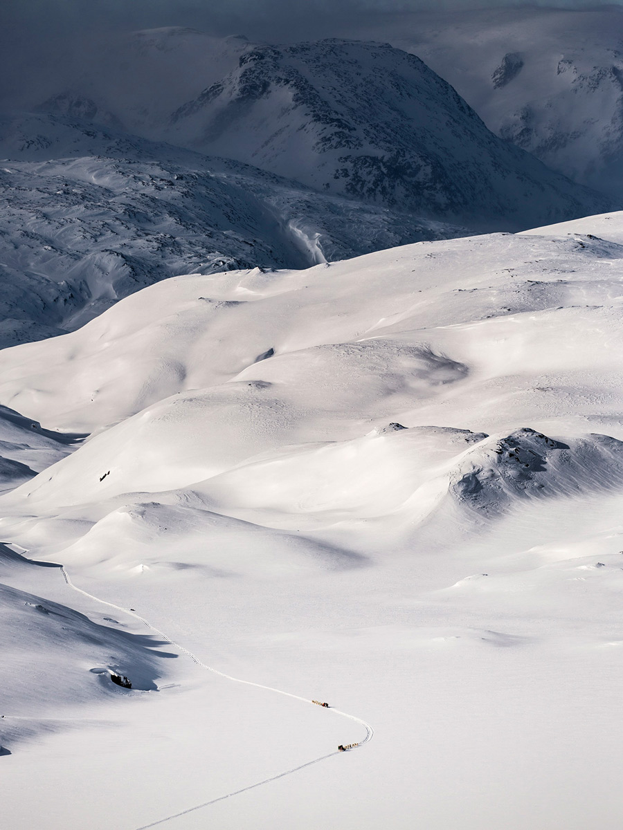 Aerial view of Dog Sledding tour crossing ice field in Greenland