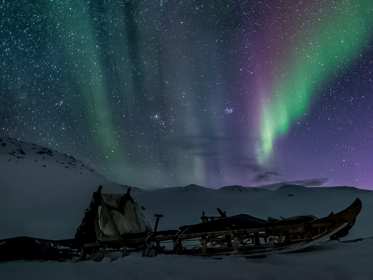 Beautiful Northern Lights Aurora Borealis along Dog Sledding adventure tour Greenland