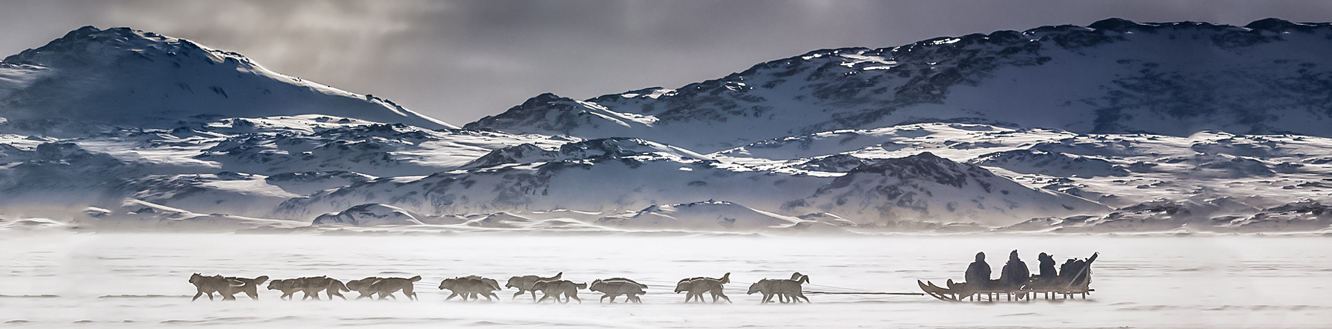 Dog Sledding in East Greenland Tour