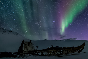 Dog Sledding in East Greenland Tour