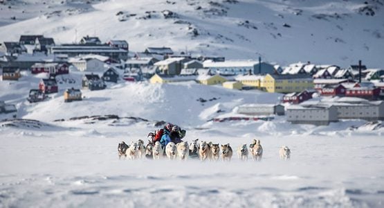 Dog Sledding in East Greenland Tour