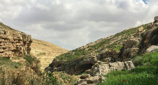 Jericho to Jerusalem through Wadi Qelt Tour