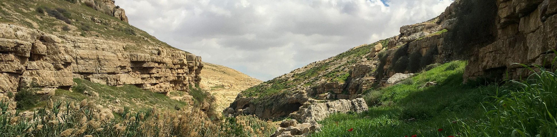 Jericho to Jerusalem through Wadi Qelt Tour
