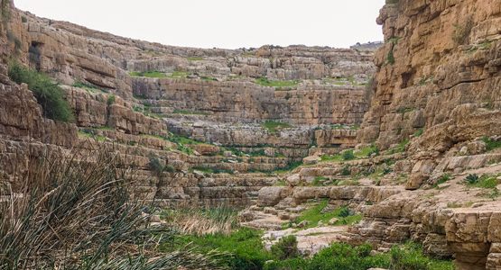 Jericho to Jerusalem through Wadi Qelt Tour