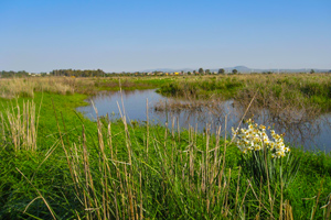 5-day Golan Trail Hiking Tour