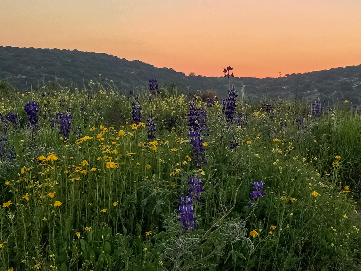 Judean Plains wildflowers hiking Beit Guvrin to Jerusalem Israel