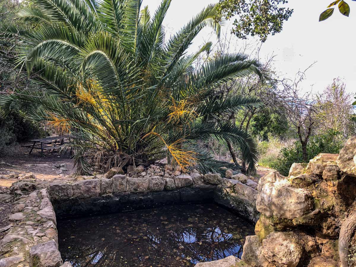 Tamar Spring hiking Beit Guvrin to Jerusalem Israel