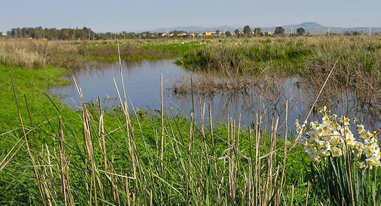 Complete Golan Trail Hiking Tour