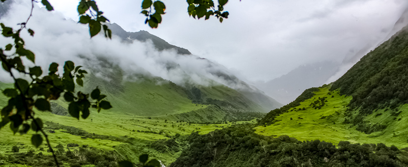 Mystical Valley of Flowers Trekking Tour