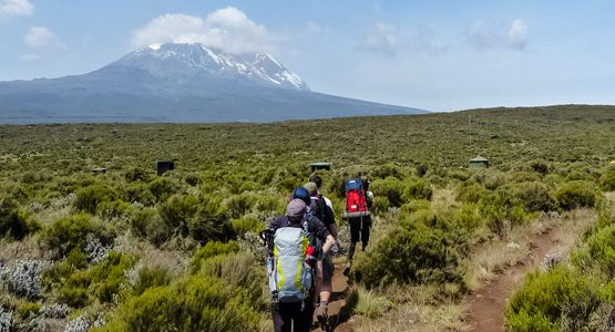 7-Day Mount Kilimanjaro on Lemosho Route
