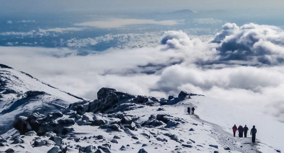 8-Day Mount Kilimanjaro on Lemosho Route