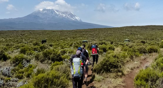 8-Day Mount Kilimanjaro on Lemosho Route