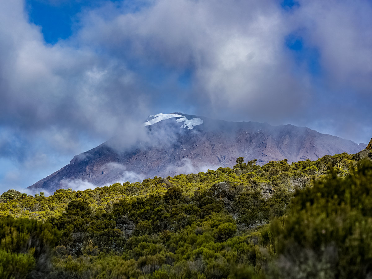 Kilimanjaro Tanzania Maranhu hiking trail featuring mountain peak jungle views