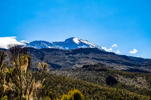 5-day Mount Kilimanjaro on Marangu Route