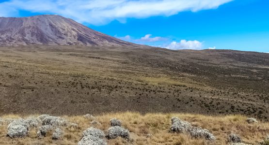 6-Day Mount Kilimanjaro on Rongai Route