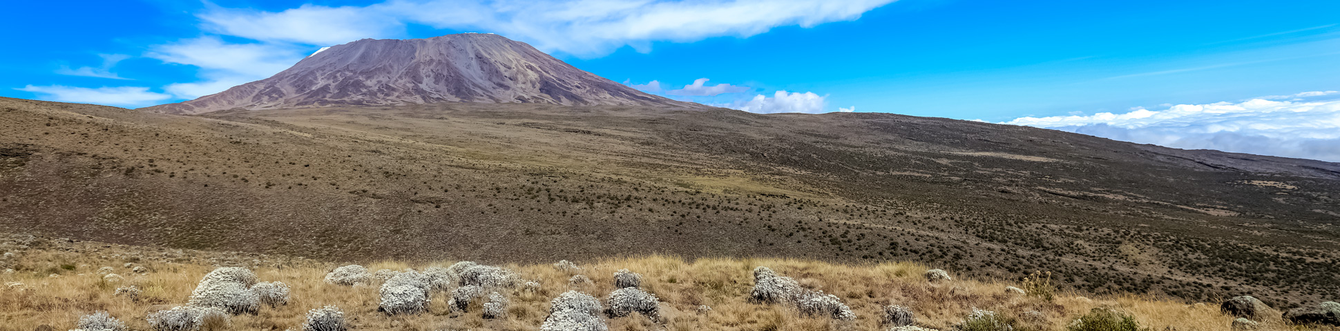 6-Day Mount Kilimanjaro on Rongai Route