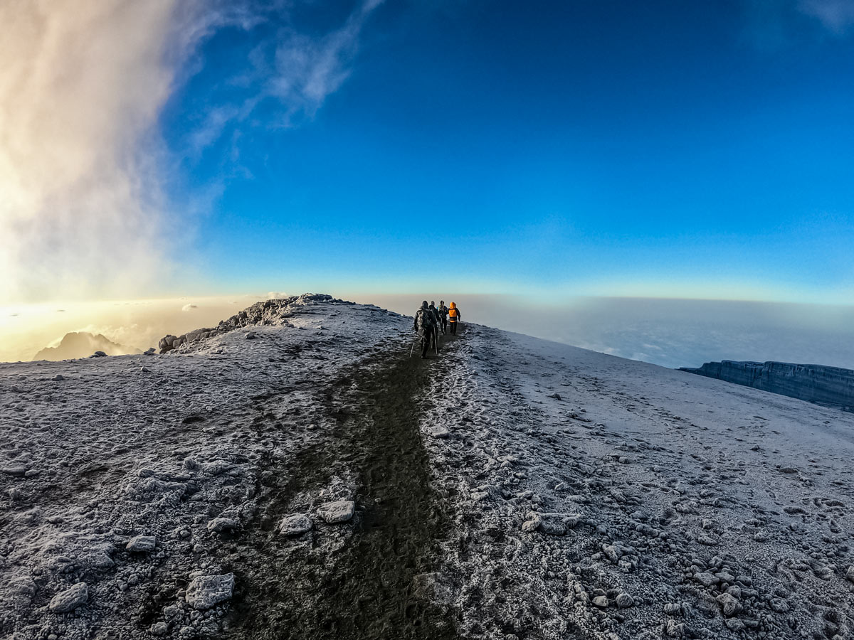 Hikers trekking Mount Kilimanjaro mountian top Rongai route Tanzania
