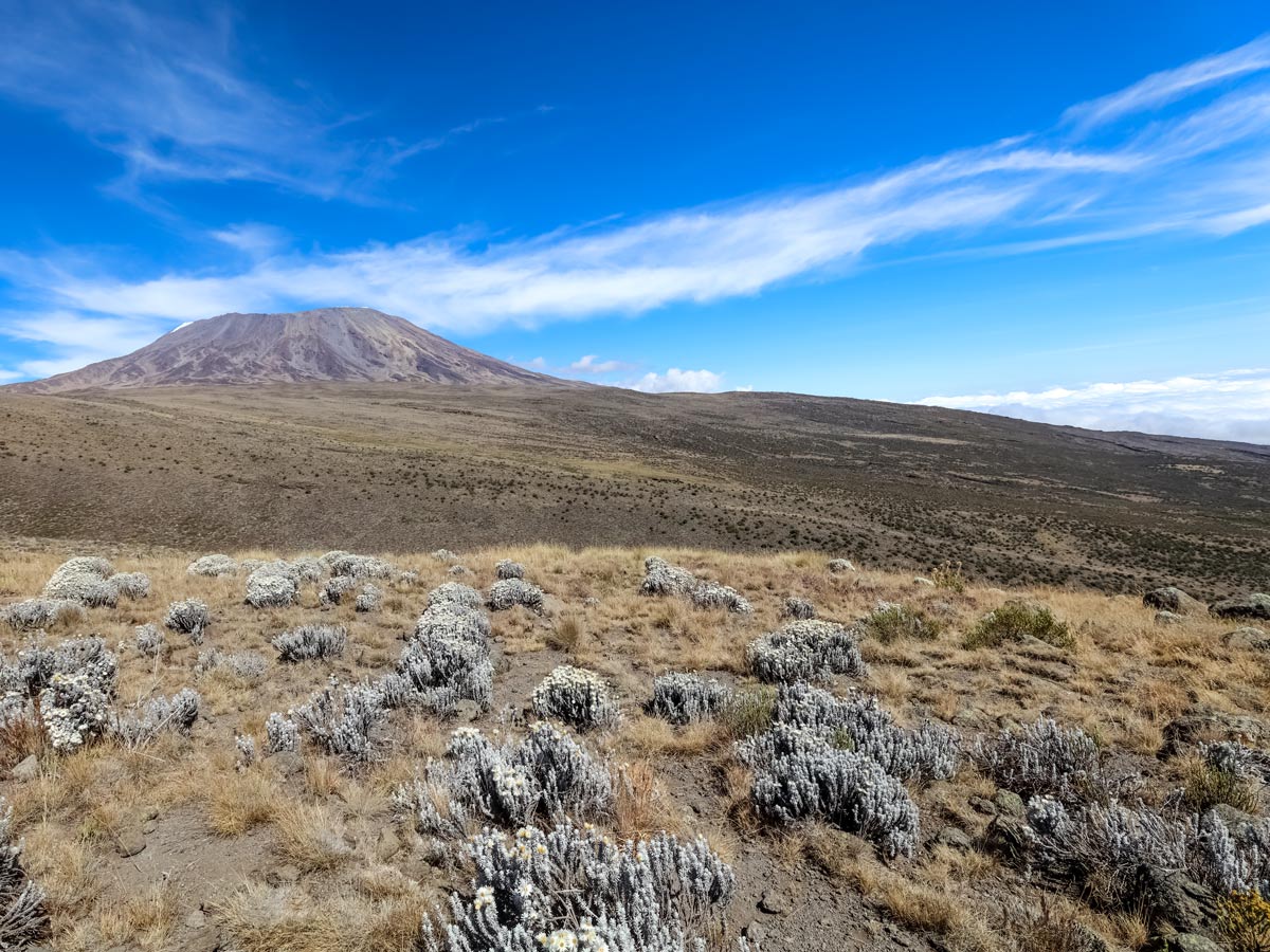 Hiking Mount Kilimanjaro Tanzania Rongai route adventure tour