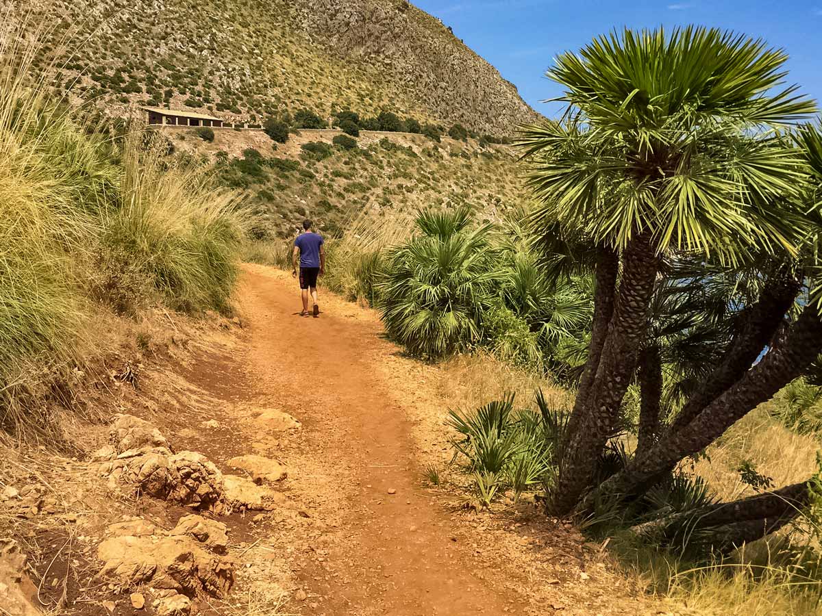 Hiker in the reserve ascending desert trail past palms in Italy