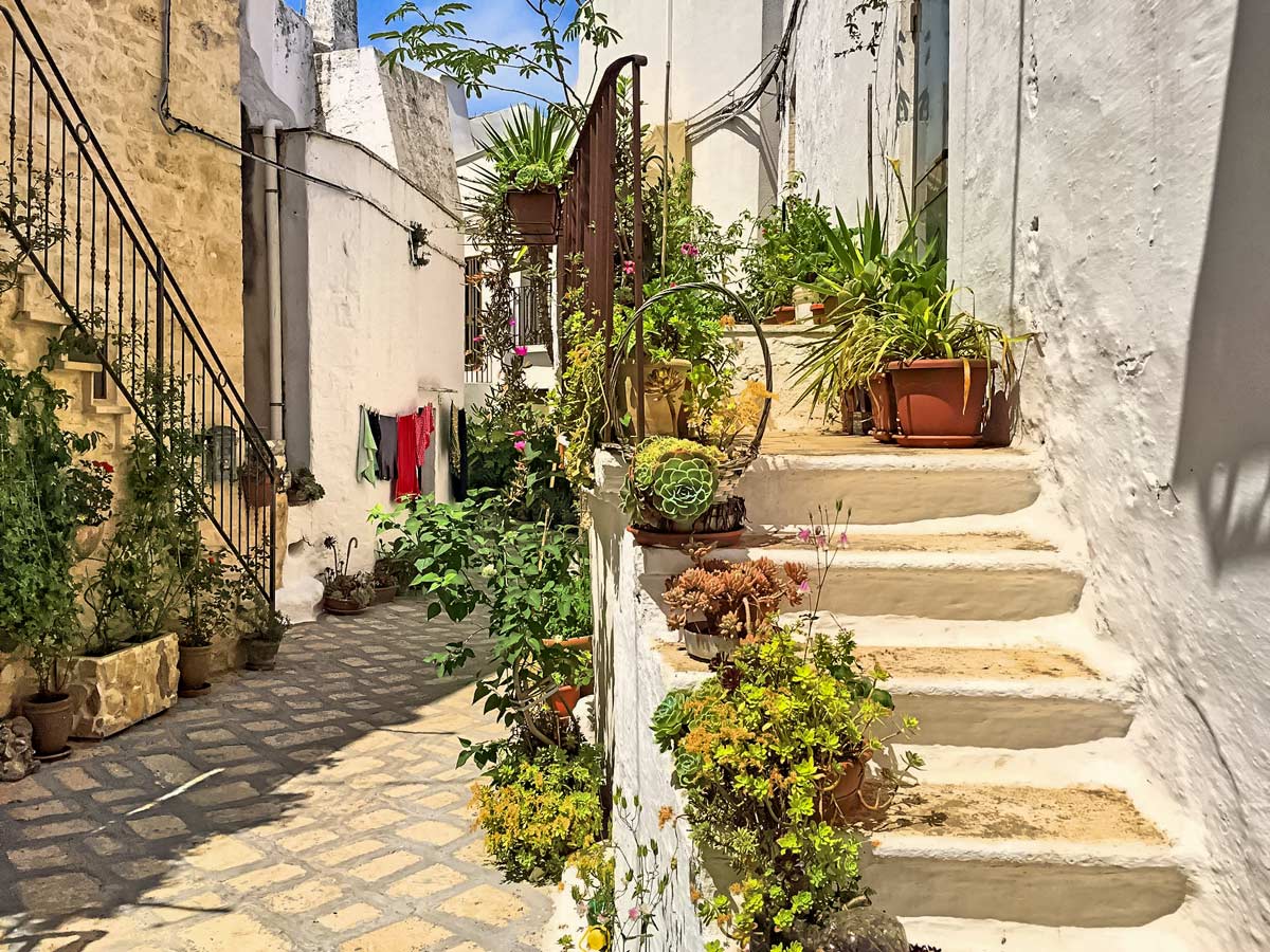 Beautiful old homes plants succulents in Ostuni Italy