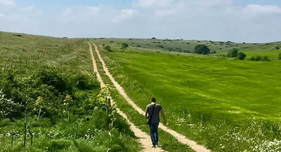 Basilicata and Puglia Walking Tour