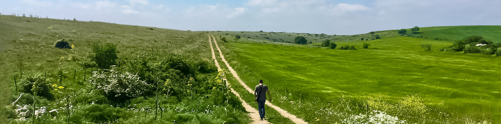 Basilicata and Puglia Walking Tour