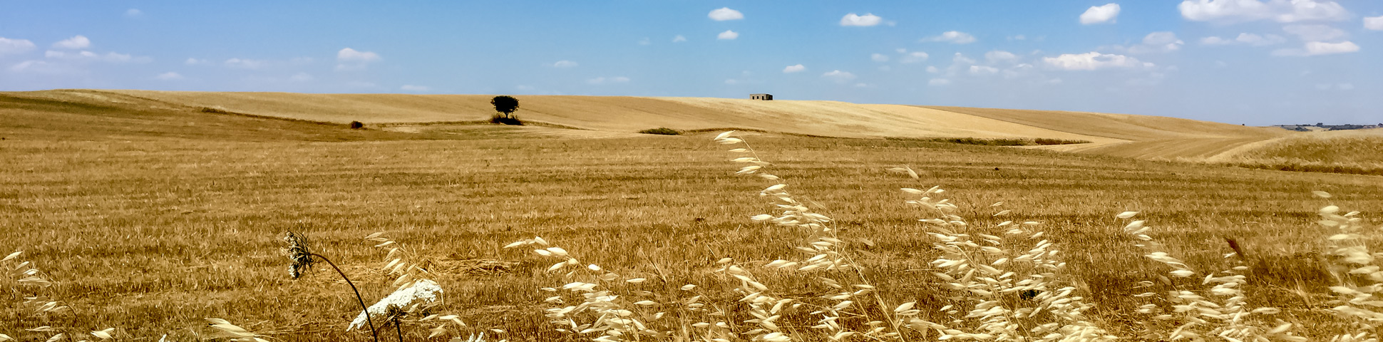 Cycling the best of Southern Italy