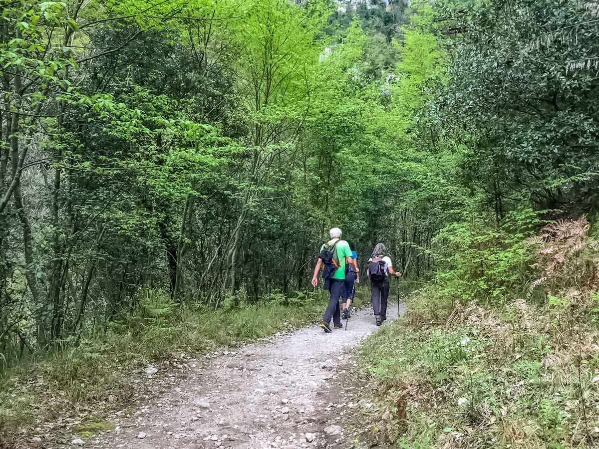 Hiking trail through the forest along amalfi coast in Italy