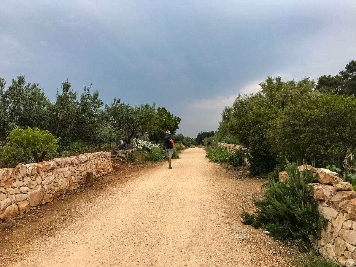 Hiker along dirt trail road walking tour in Puglia Italy