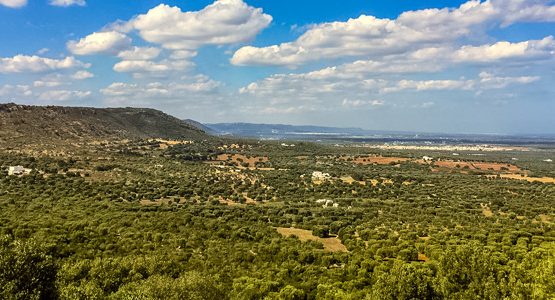 Itria Valley and Coastal Dunes Walking Tour