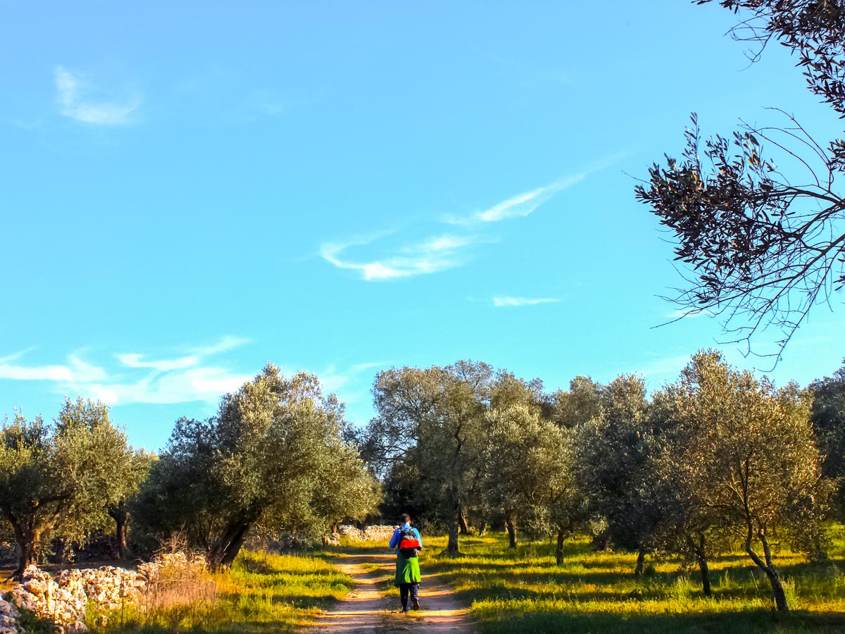 Trekking Ulivi Puglia Matera gourmet walking tour Italy