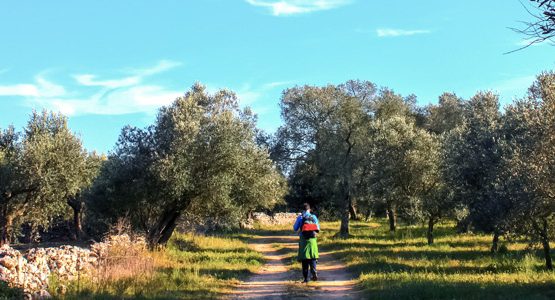 Puglia and Matera Deluxe Foodie Walking Tour