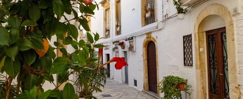 Tasting Puglia By Bike