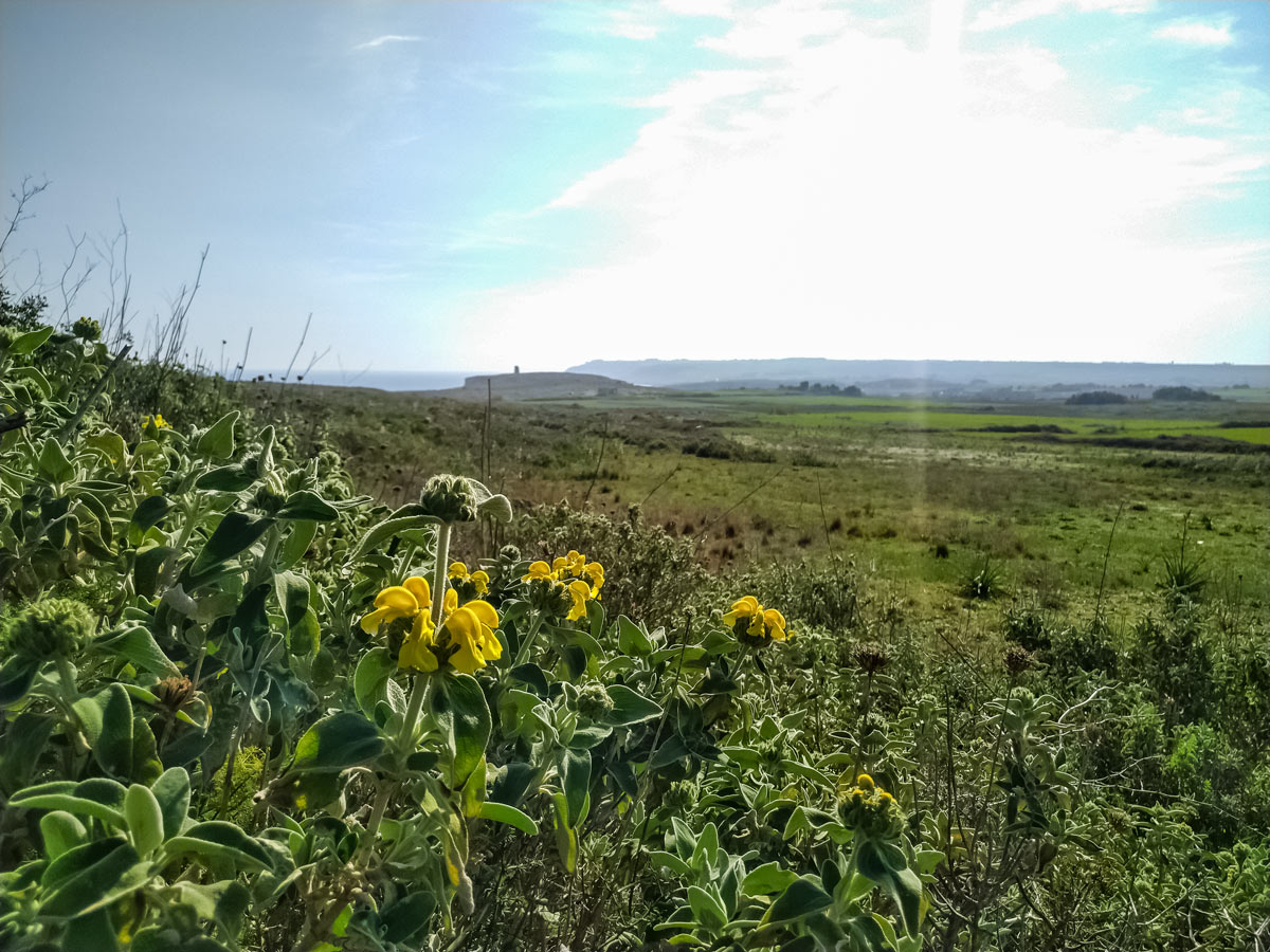 Sant emiliano cycling tour Salento Italy