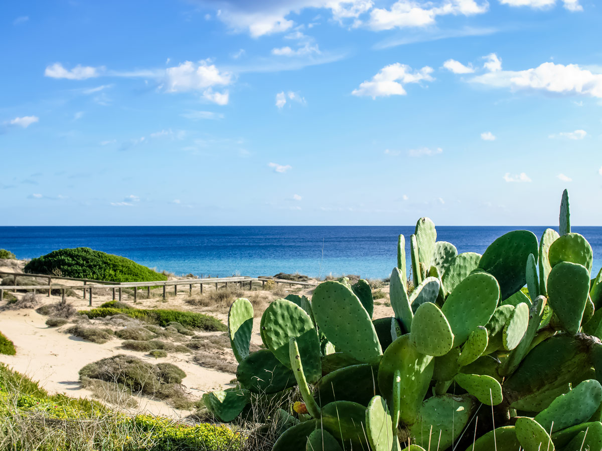 Dunes Salento snorkeling adventure tour in Puglia Italy