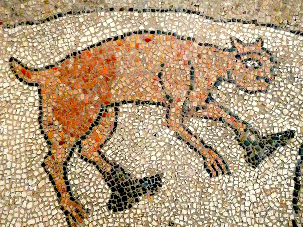 Puss in boots Otranto tile mosaic art Puglia Italy