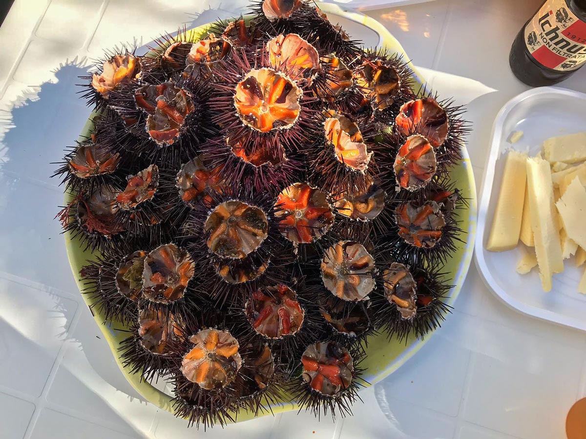 Sea urchins gourmet seafood snorkeling adventure tour Puglia Italy