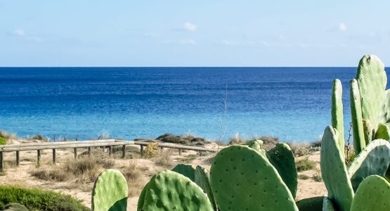 Puglia Snorkelling Adventure