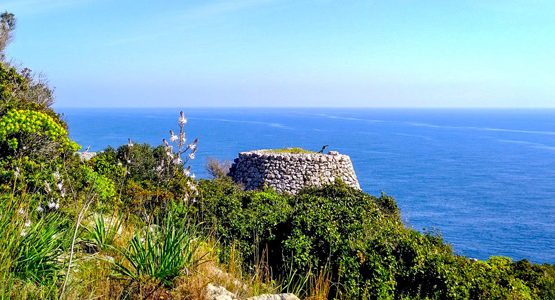 Puglia Snorkelling Adventure