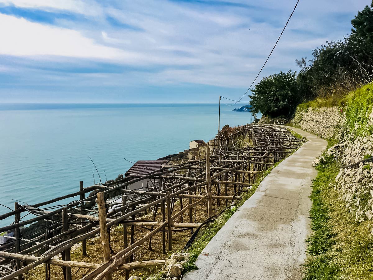 Terraced fields along sea shore walking Amalfi Coast Italy