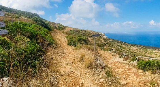 Western Sicily and Egadi Islands Walking Tour