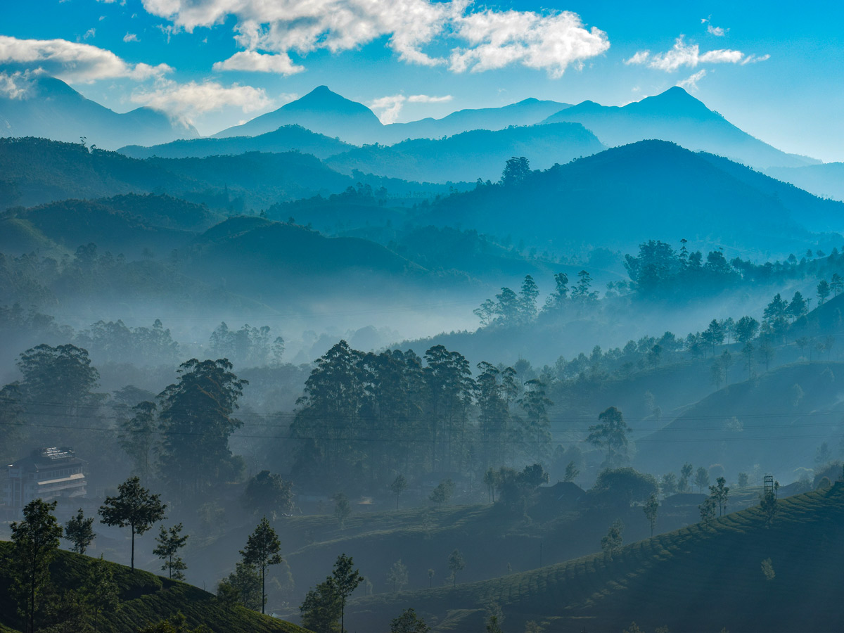 Foggy morning in the mountains of Munnar Kerala India