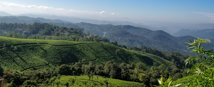 Temples and Elephants in Southern India Tour