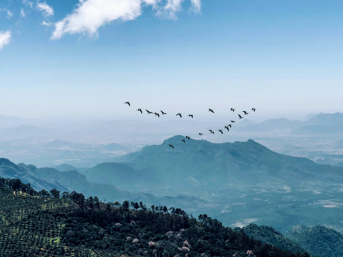 Ooty Tamil Nadu mountains farms India