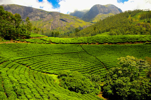 Houseboating and Safari in Karnataka & Kerala Tour