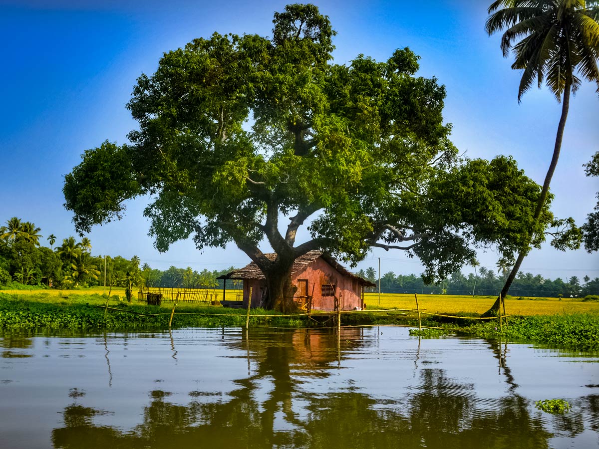 Kerala homes on the river seen from backwaters and houseboat tour India