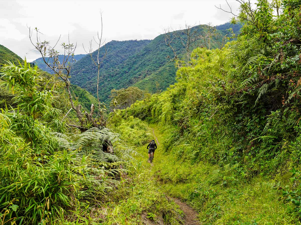 Mountain biking Ecuador mountains jungle forest adventure tour
